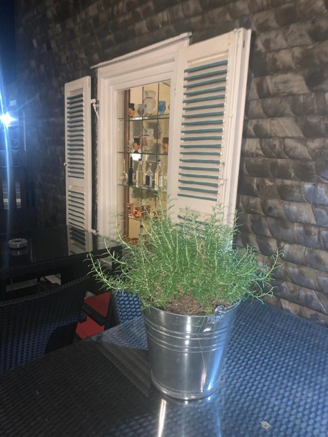 Hotel Friedrich هاخنبورغ المظهر الخارجي الصورة